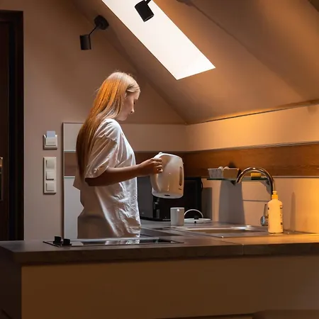 Silva シクラルスカ・ポレンバ